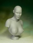 Anatomic Female Bust.jpg
