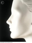 porcelain_sculpture_of_a_womans_face_in_profile_250548.jpg