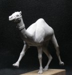 camel2 040.jpg