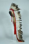 220px-The_Childrens_Museum_of_Indianapolis_-_Plains_headdress_with_trailer_-_overall.jpg