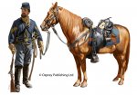 7th Illinois Cavalry.jpg