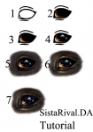 eye_tutorial_by_sistarival-d64fw97.png