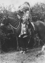 Yakima Horse Mask.jpg