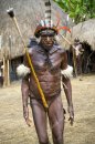 depositphotos_21570505-stock-photo-warrior-of-a-papuan-tribe.jpg