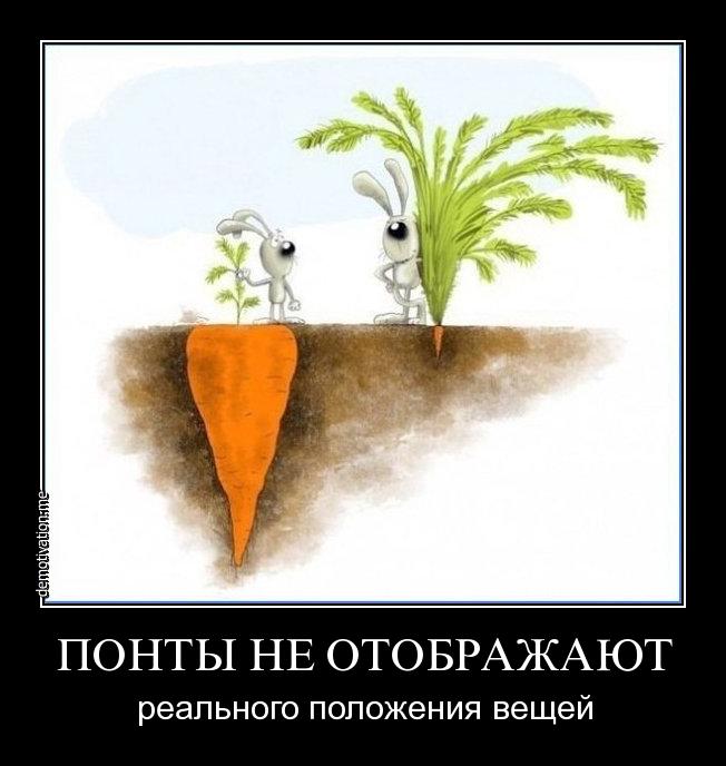 понты-морковка.jpg