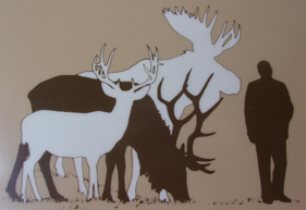 deer-elk-moose-and-man-size-comparison-display-at-forest-service-visitor-center.jpg